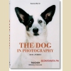 Bibliotheca Universalis The Dog in Photography  1839-Today / Собаки в фотографии с 1839 года до наших дней МАЛЫЙ ФОРМАТ