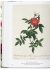 Редуте Книга цветов 40 лет издательства / Redoute. Book of Flowers - 40th Anniversary Edition