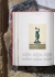 XXL  Fausto & Felice Niccolini. The Houses and Monuments of Pompeii. ������: ���� � ���������