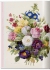 Pocket book Pierre-Joseph Redoute. Roses. ����-����� ������. ����.