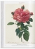 Pocket book Pierre-Joseph Redoute. Roses. ����-����� ������. ����.