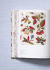  XXL The Book of Printed Fabrics. From the 16th century until today.   .  XVI    .