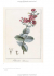 XL Alexander von Humboldt and the Botanical Exploration of the Americas.       .