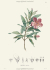 XL Alexander von Humboldt and the Botanical Exploration of the Americas.       .