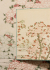 XXL  - 2025 Hokusai.   .   