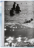 40th Surfing. 1778Today. .   1778    .