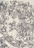 XL  Albrecht Durer / �������� ����� ������� ����� ���������� ������ XL
